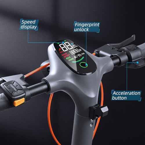 1200W Motor Electric Scooter with 10.5" Off Road Tires R4060