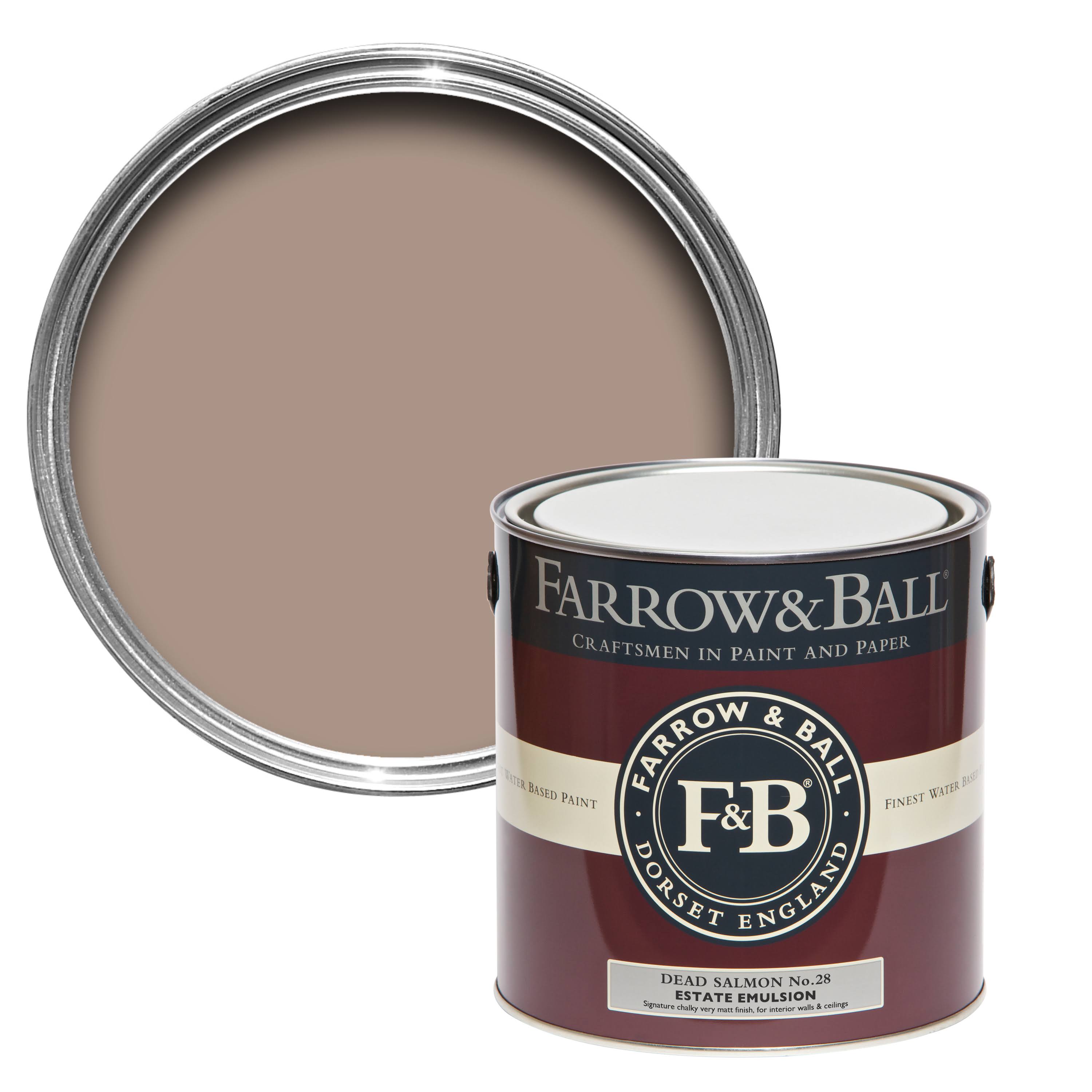Dead Salmon Paint US Gallon Estate Emulsion T574559