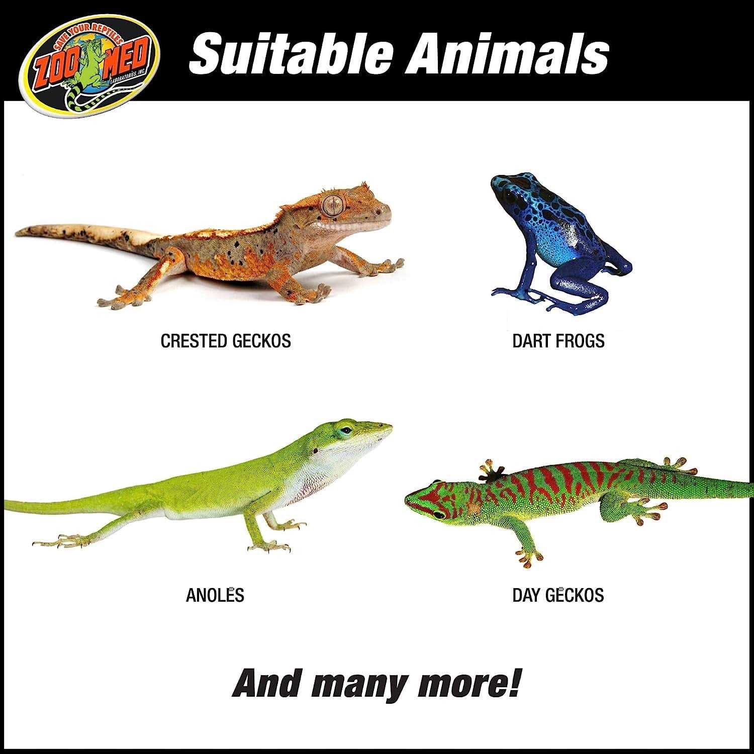 Naturalistic Terrarium Tropical Kit G28549