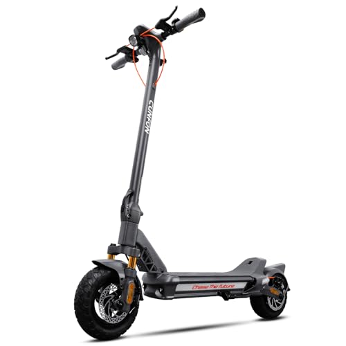 1200W Motor Electric Scooter with 10.5" Off Road Tires R4060