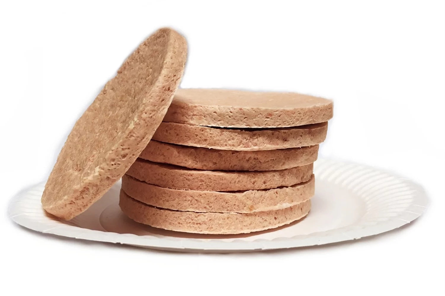 Freeze Dried Chicken Patties #10 Can 15 Patties 28oz I86280