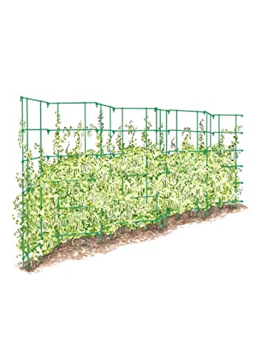 Expandable Tall Pea Trellis for Climbing Plants, 9'-8" L x 37" H - Green K724710