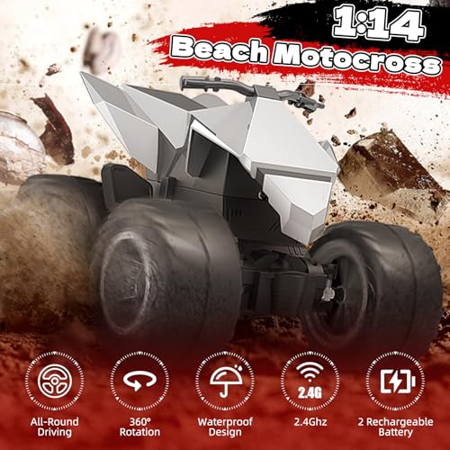 1/18 RC Car with Remote Control P447
