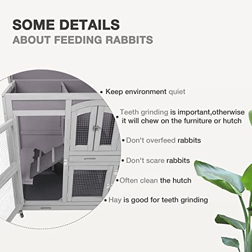 Two-Story Rabbit Hutch with Wheels and 2 Deep Leakproof Tray B2589