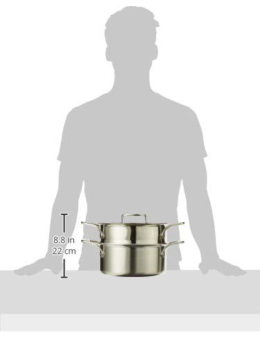 D5 Brushed Stainless Steel 5-Ply Bonded 3-Quart Casserole with Lid and Steamer Cookware Y4792