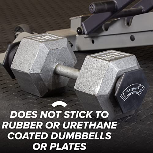 Magnetic Weights 1.25 lbs or 2.5 lbs Hex P90696