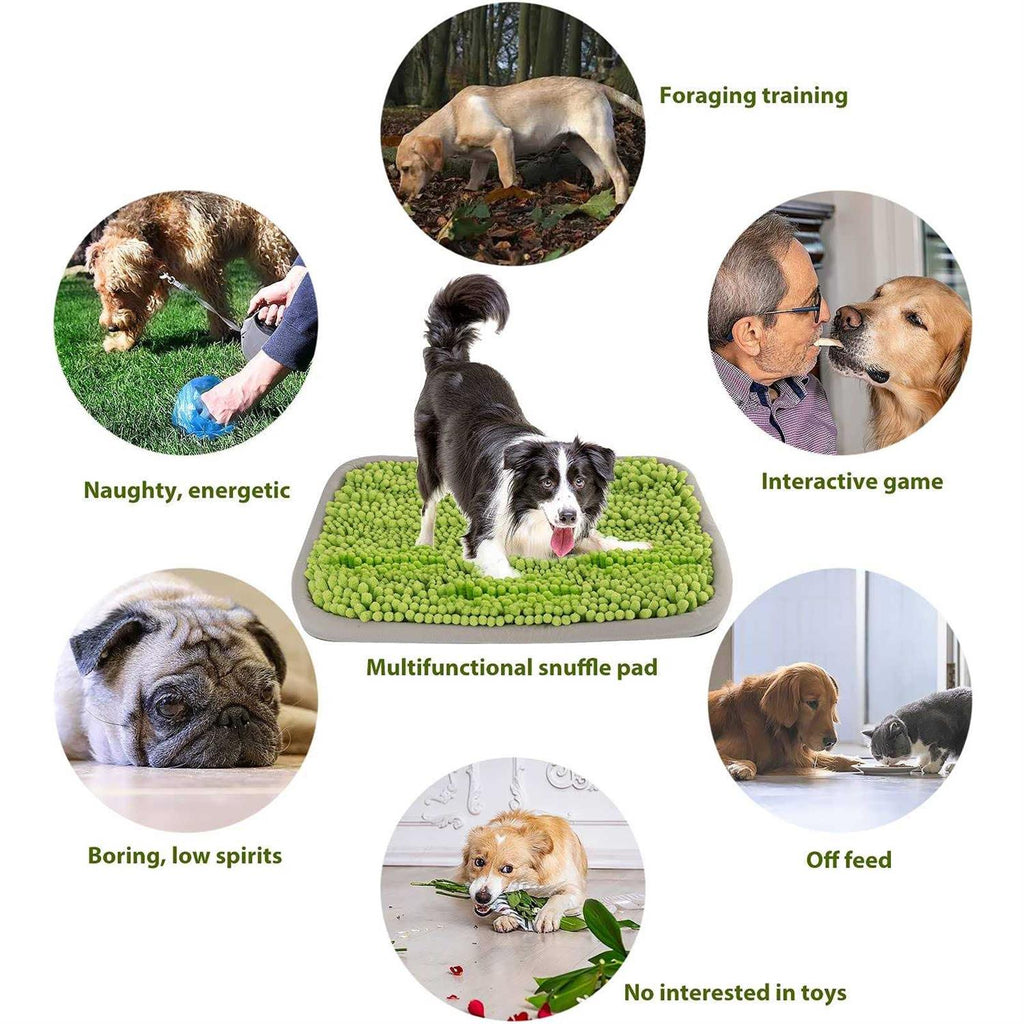 21x16Inch Snuffle Mat for Dogs E241