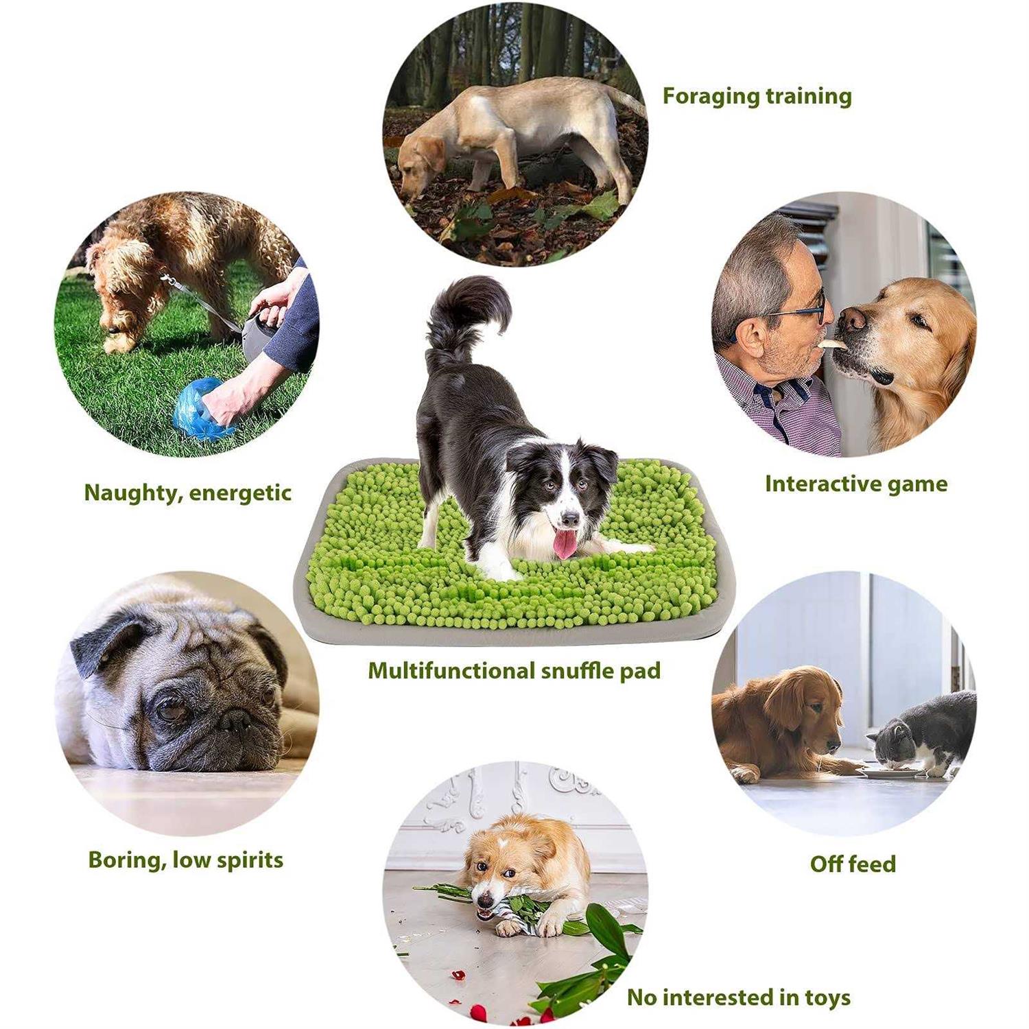 21x16Inch Snuffle Mat for Dogs E241