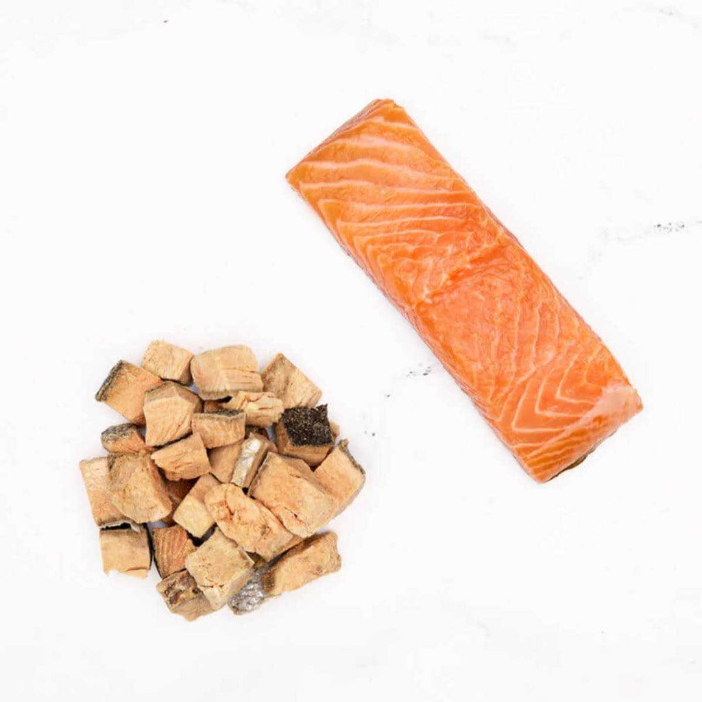 Salmon Treats A42860