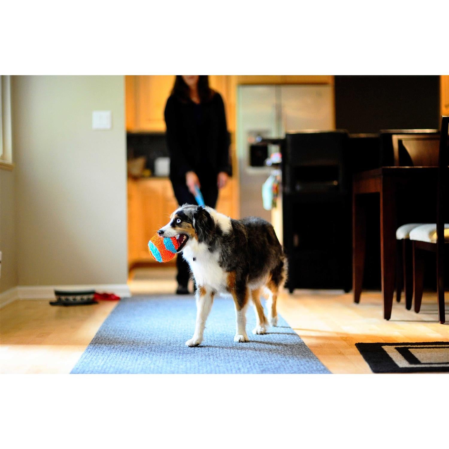 Indoor Ball Dog Toy V202