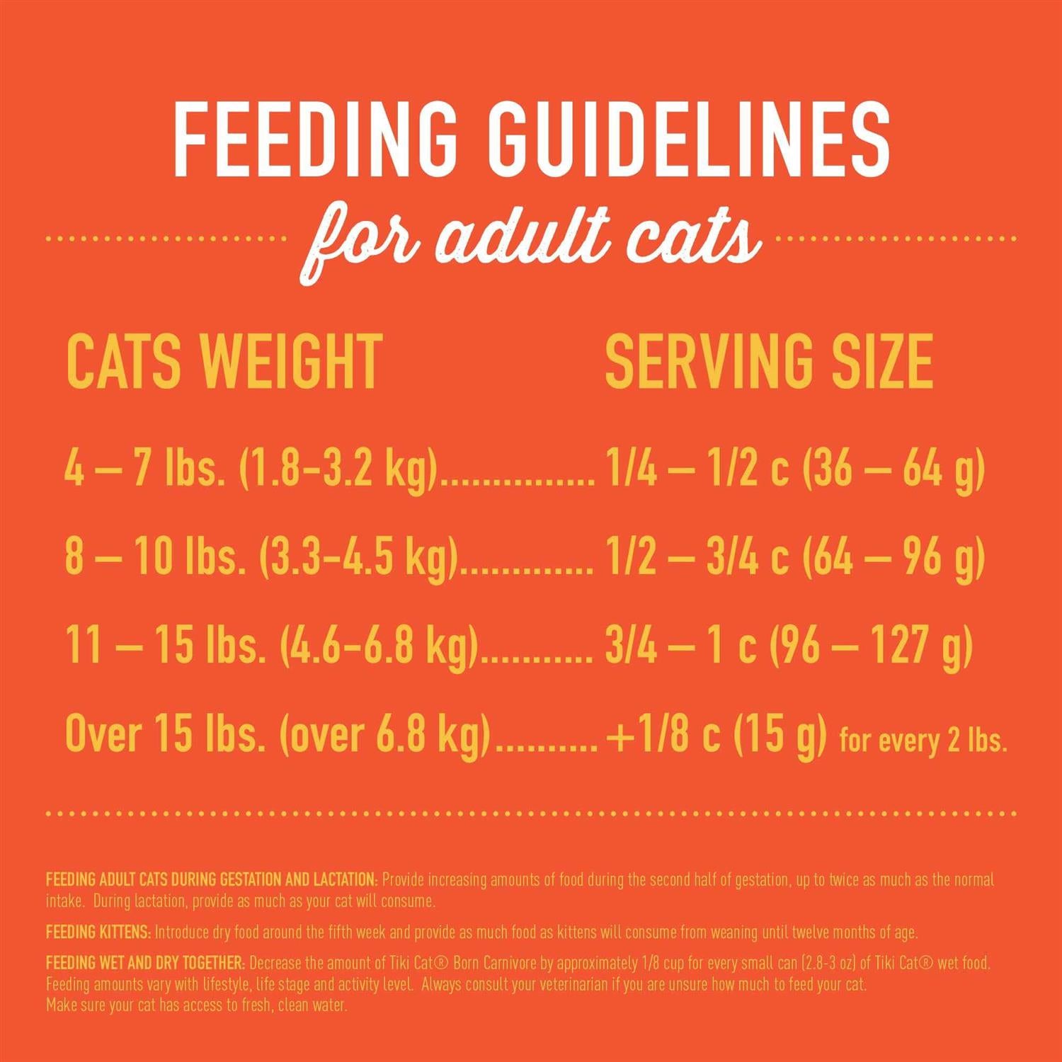 Chicken & Turkey Meal Recipe Dry Cat Food L74932