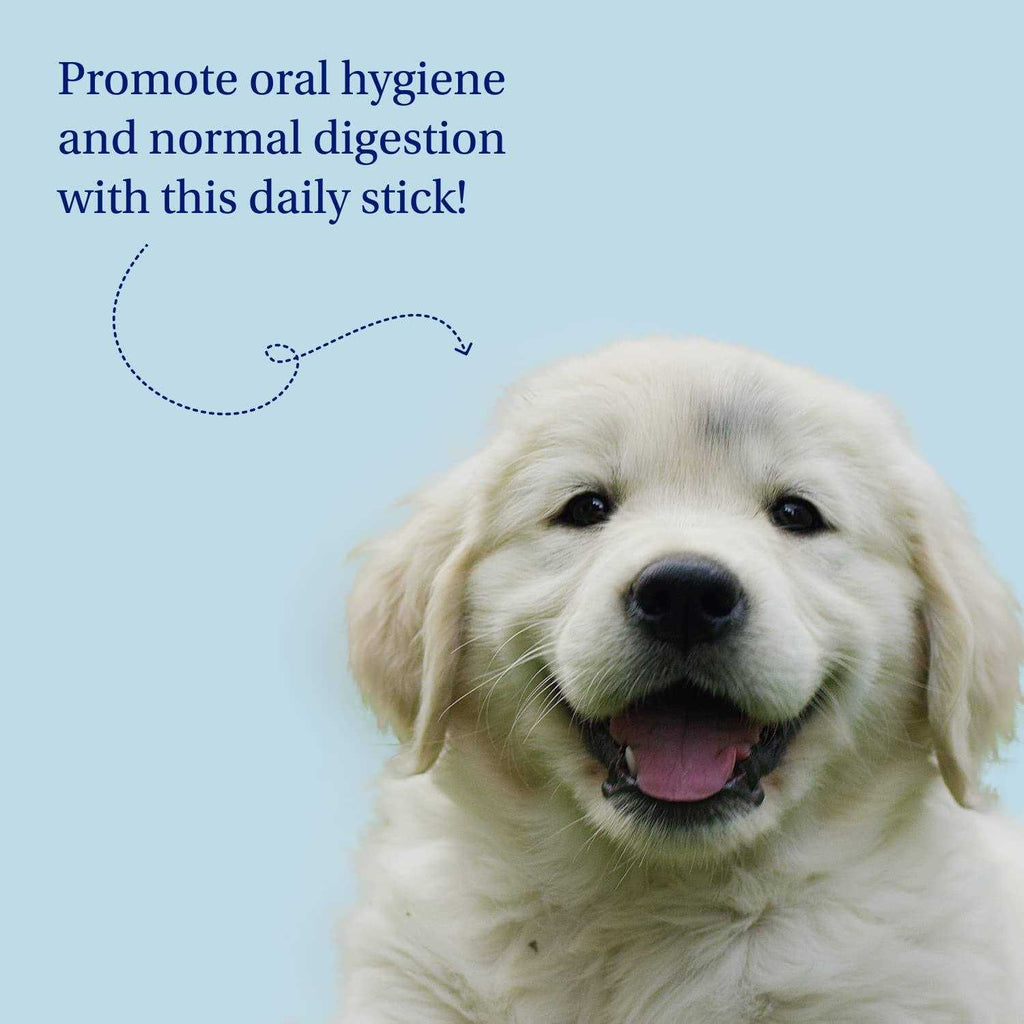 Dental Sticks Dog Dental Chews U2742