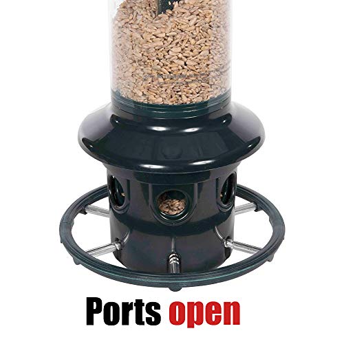 Green Squirrel-proof Bird Feeder with 6 Feeding Ports, 5.1-pound Seed Capacity, Pole-mountable Y70372