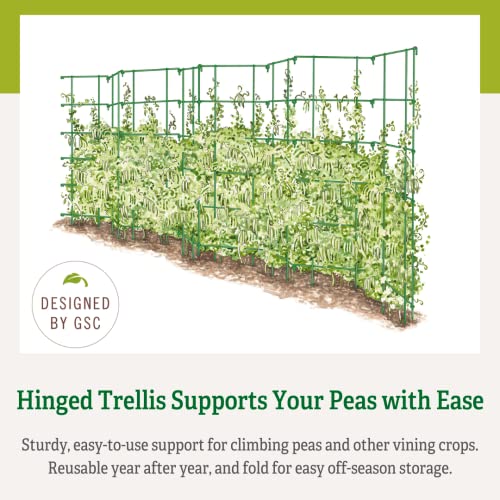 Expandable Tall Pea Trellis for Climbing Plants, 9'-8" L x 37" H - Green K724710