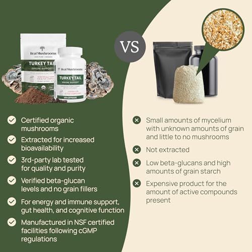 Organic Turkey Tail Mushroom Powder, 100 Servings T6671