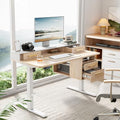 47.2 x 23.6 Inch Electric Height Adjustable Standing Desk with 4 Drawers J579