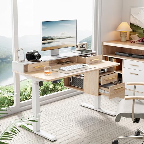 47.2 x 23.6 Inch Electric Height Adjustable Standing Desk with 4 Drawers J579