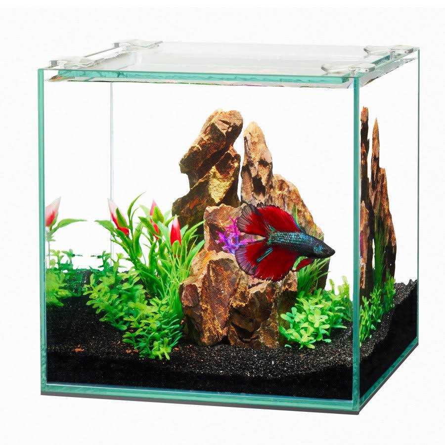 Frameless Cube Aquarium N40722