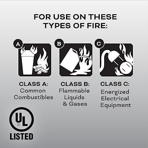 2-A:10-B:C 7.13 Lbs. Fire Extinguisher with Hose and Wall Mount E843