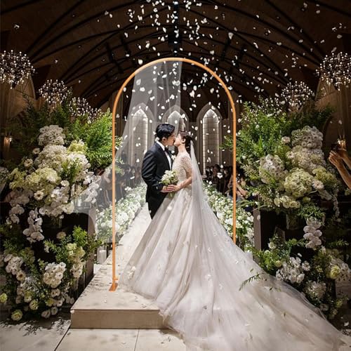 7.2FT Gold Metal Arch Backdrop Stand D833