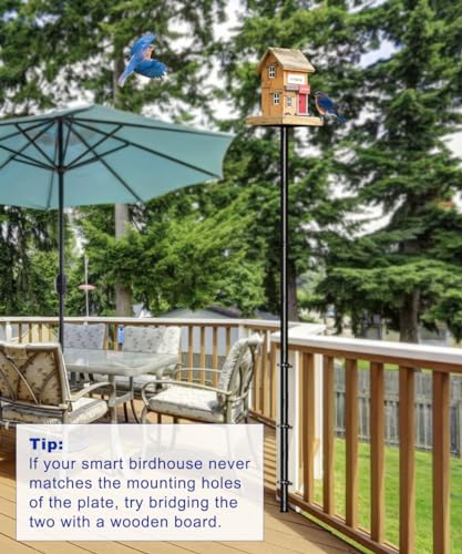 Matte Black Heavy Duty Bird Feeder Pole Kit E995000
