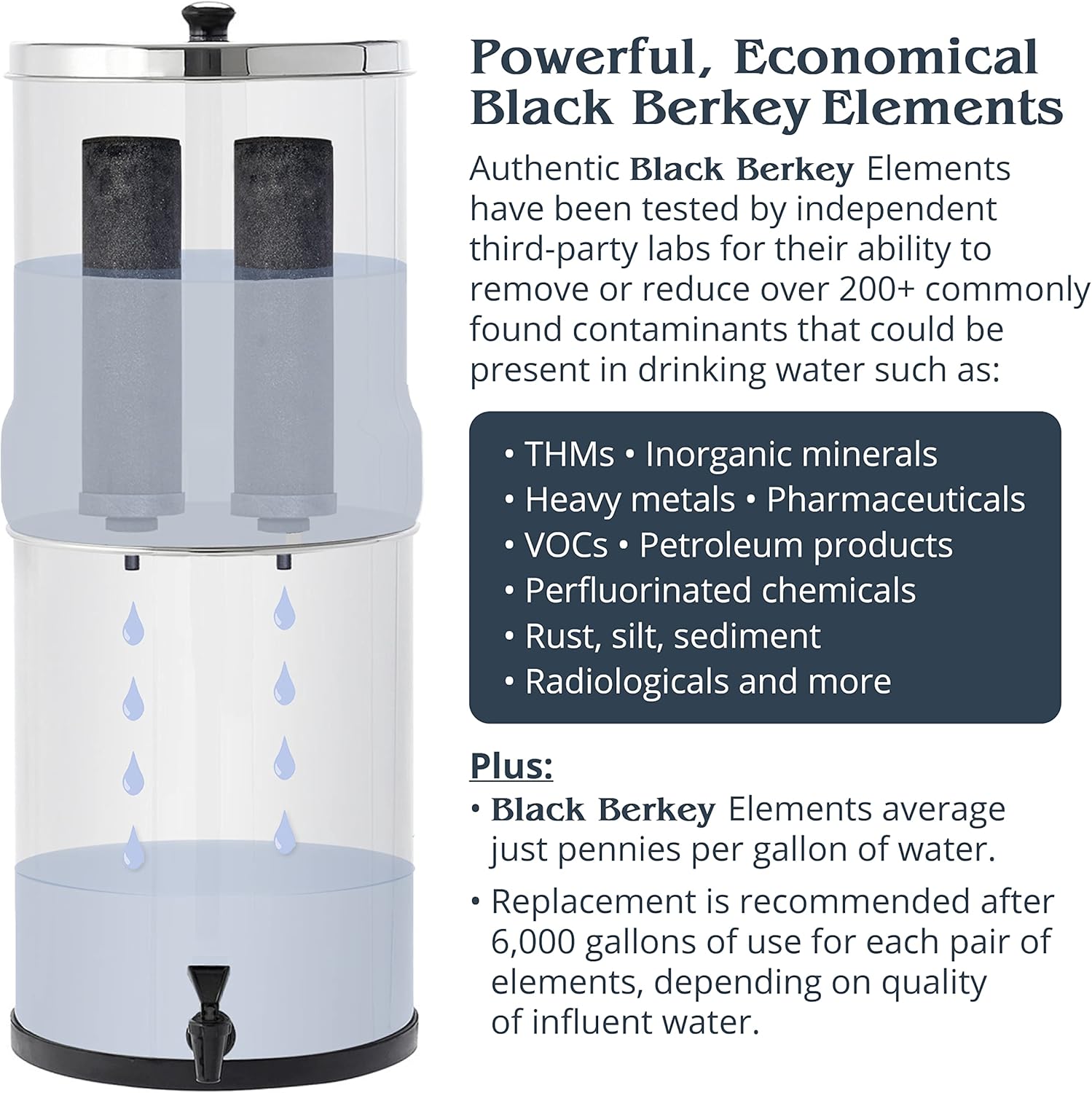 Black Berkey Elements Filters (Set of 2) B515