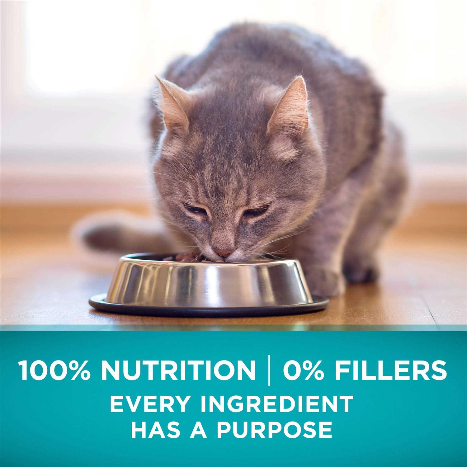 Natural High Protein Grain Free Dry Cat Food S6673