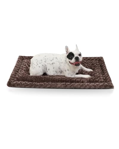 Gray 41 x 27 Inch Washable Dog Bed Mat G31348