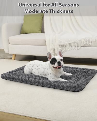 Gray 41 x 27 Inch Washable Dog Bed Mat G31348
