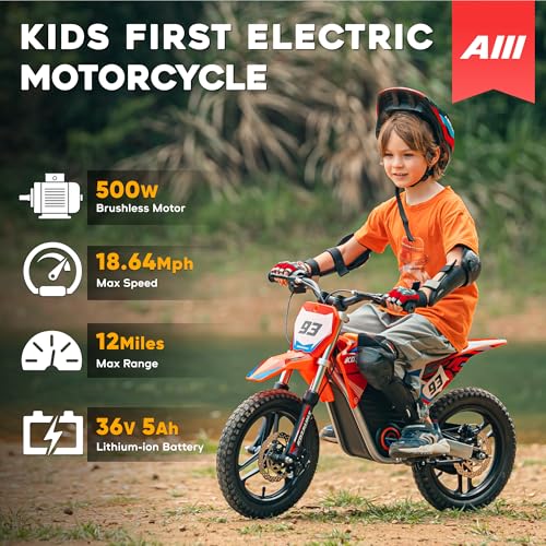 Red Electric Dirt Bike with 12-Inch Off-Road Tires X922