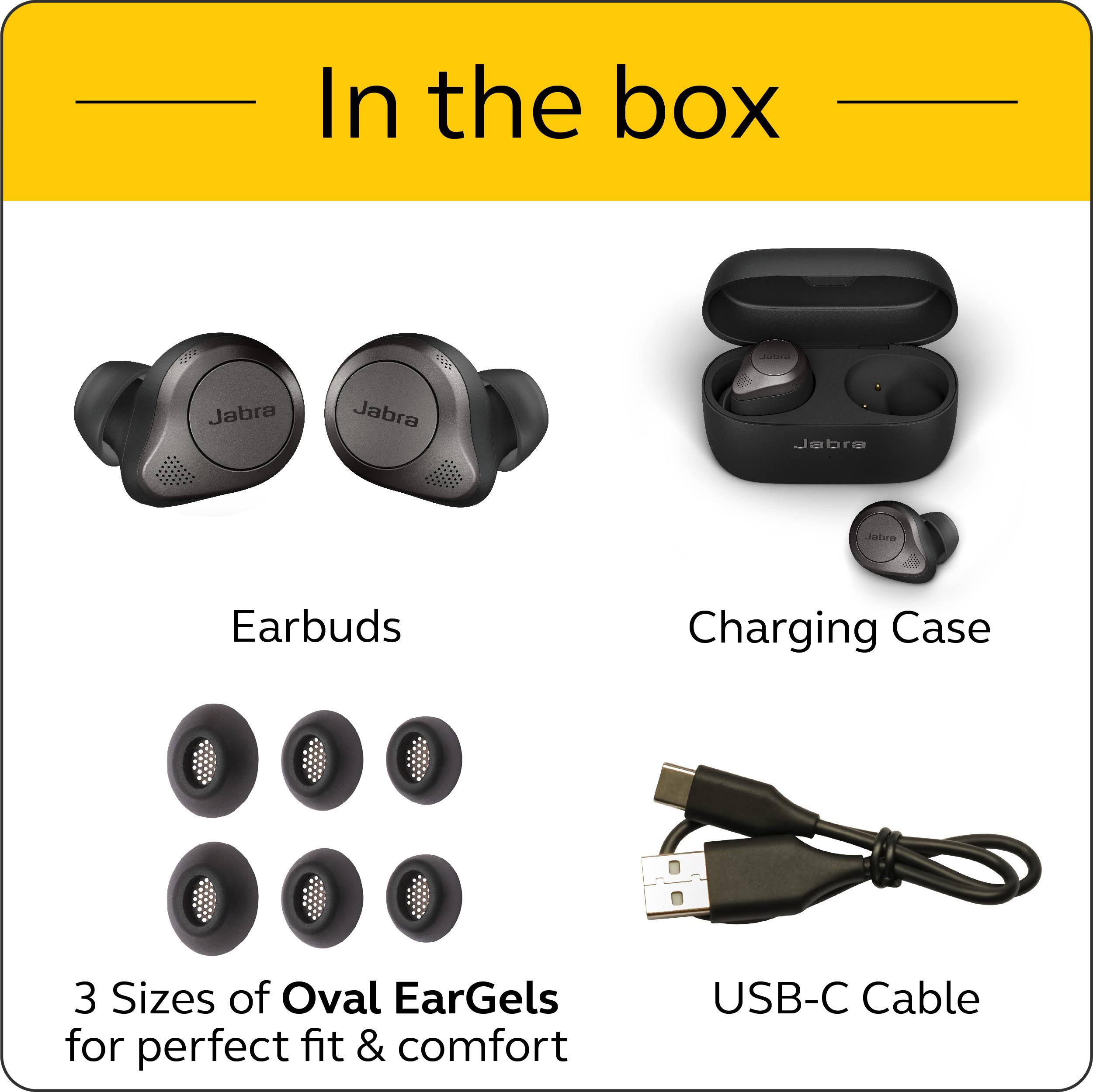 Titanium Black Bluetooth Wireless Noise-Canceling In-Ear Earphones O172096