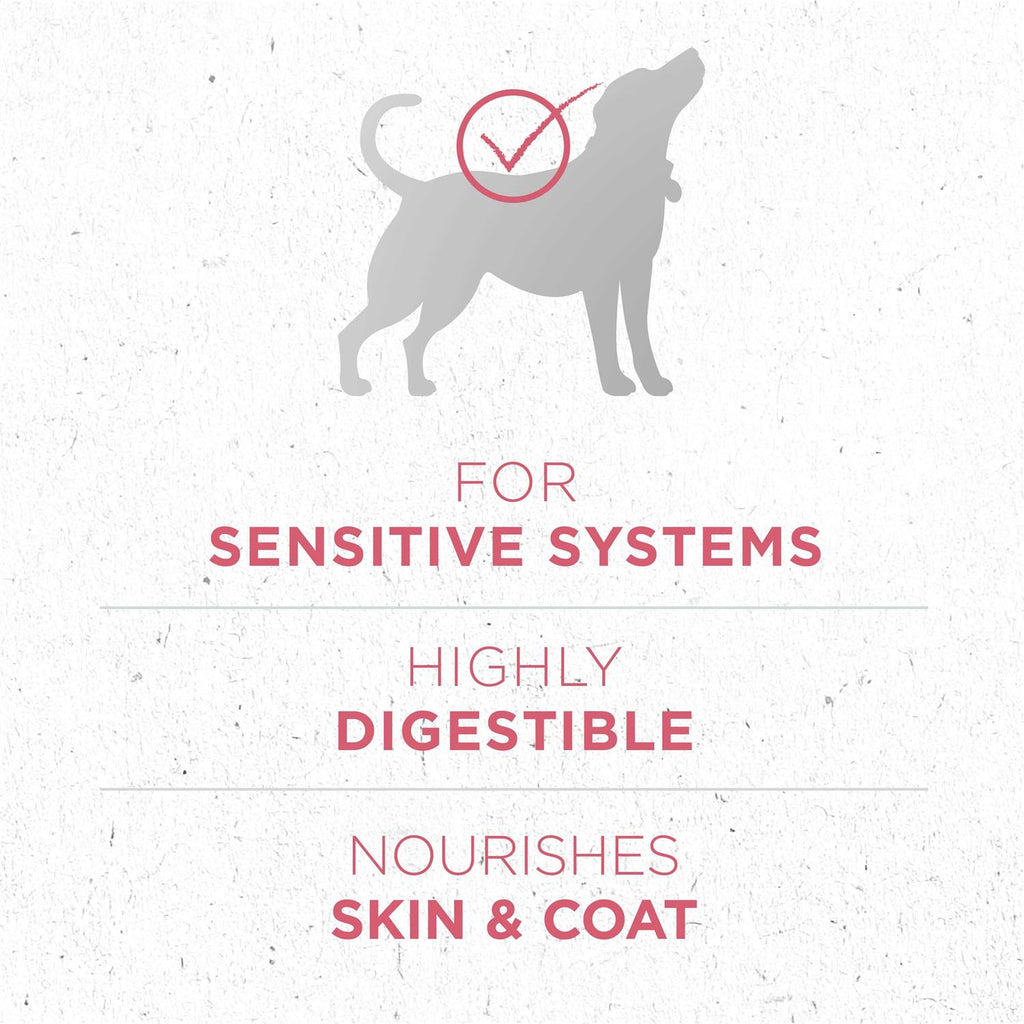 Dry Dog Food B5323