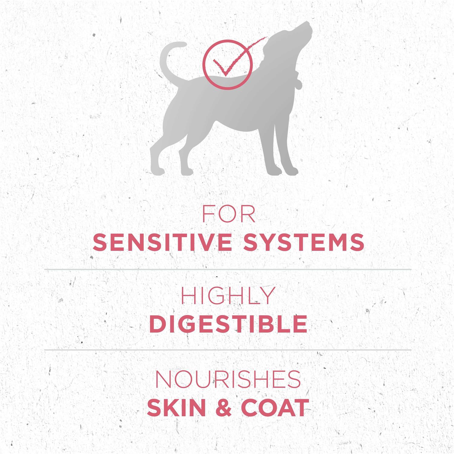Dry Dog Food B5323