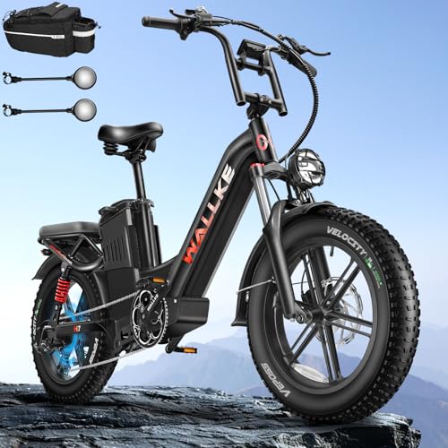 20" Fat Tire AWD Dual Motor Electric Bike I316