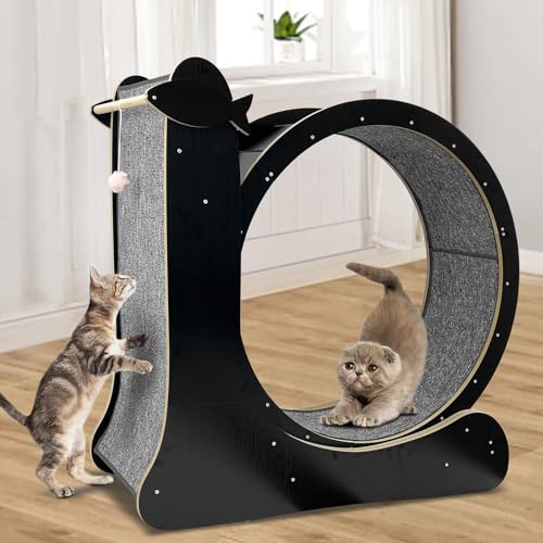 Nature Wood Cat Exercise Wheel Z849