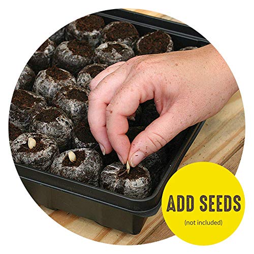 72 Cell 36mm Peat Pellets Seed Starting Tray Kit, 2 Pack C3954