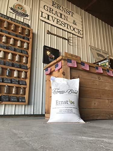 Whole Corn (50 lb) T963