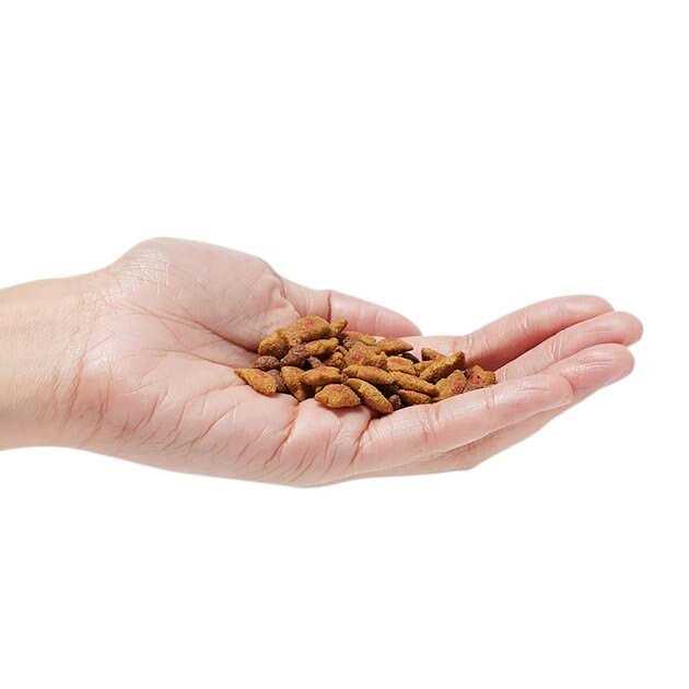 Hairball Control Dry Cat Food U93886