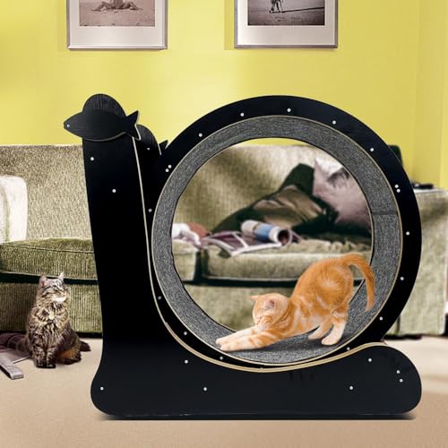 Nature Wood Cat Exercise Wheel Z849