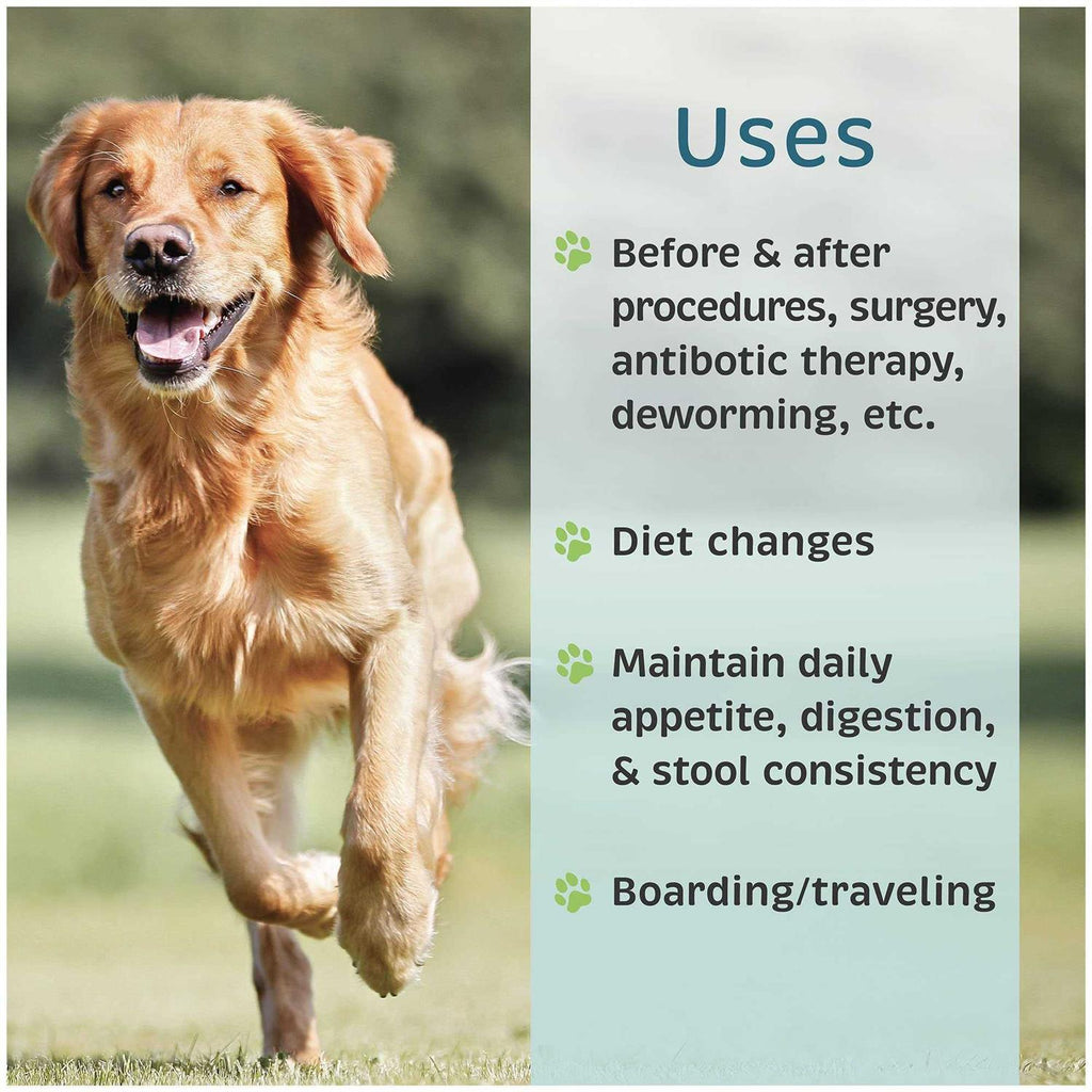 Probiotic Nutritional Supplement for Dogs F50367