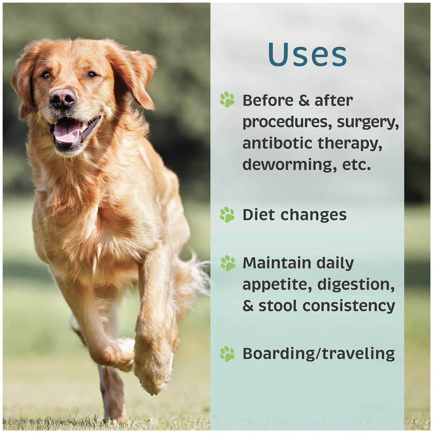 Probiotic Nutritional Supplement for Dogs F50367