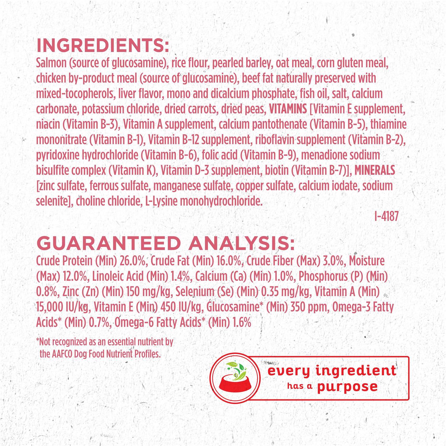 Dry Dog Food B5323