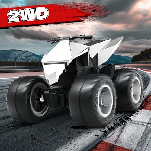 1/18 RC Car with Remote Control P447
