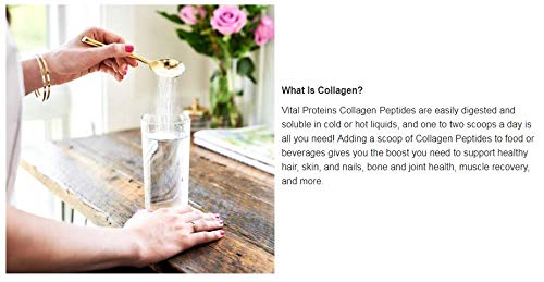 Natural Whole Nutrition Collagen Peptides - 24 Ounce V37669