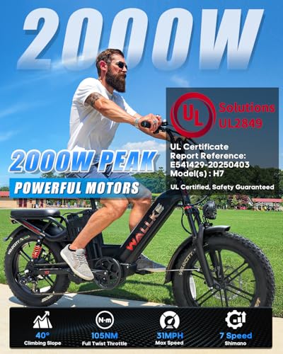 20" Fat Tire AWD Dual Motor Electric Bike I316