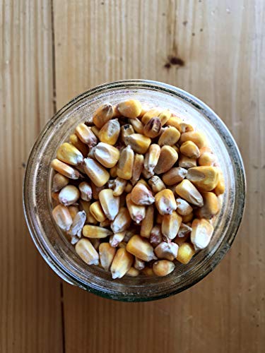 Whole Corn (50 lb) T963