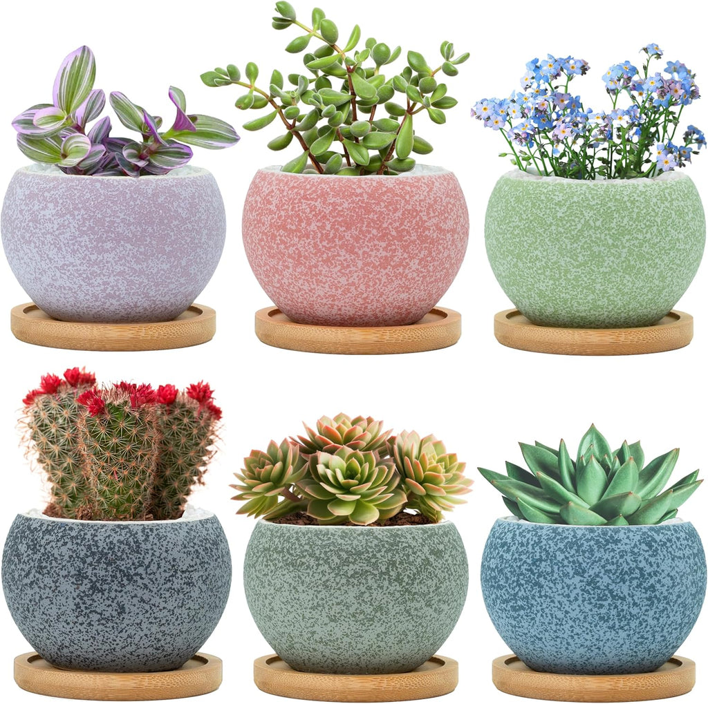 6 Pack 3 inch Ceramic Flower Pots with Drainage G105227
