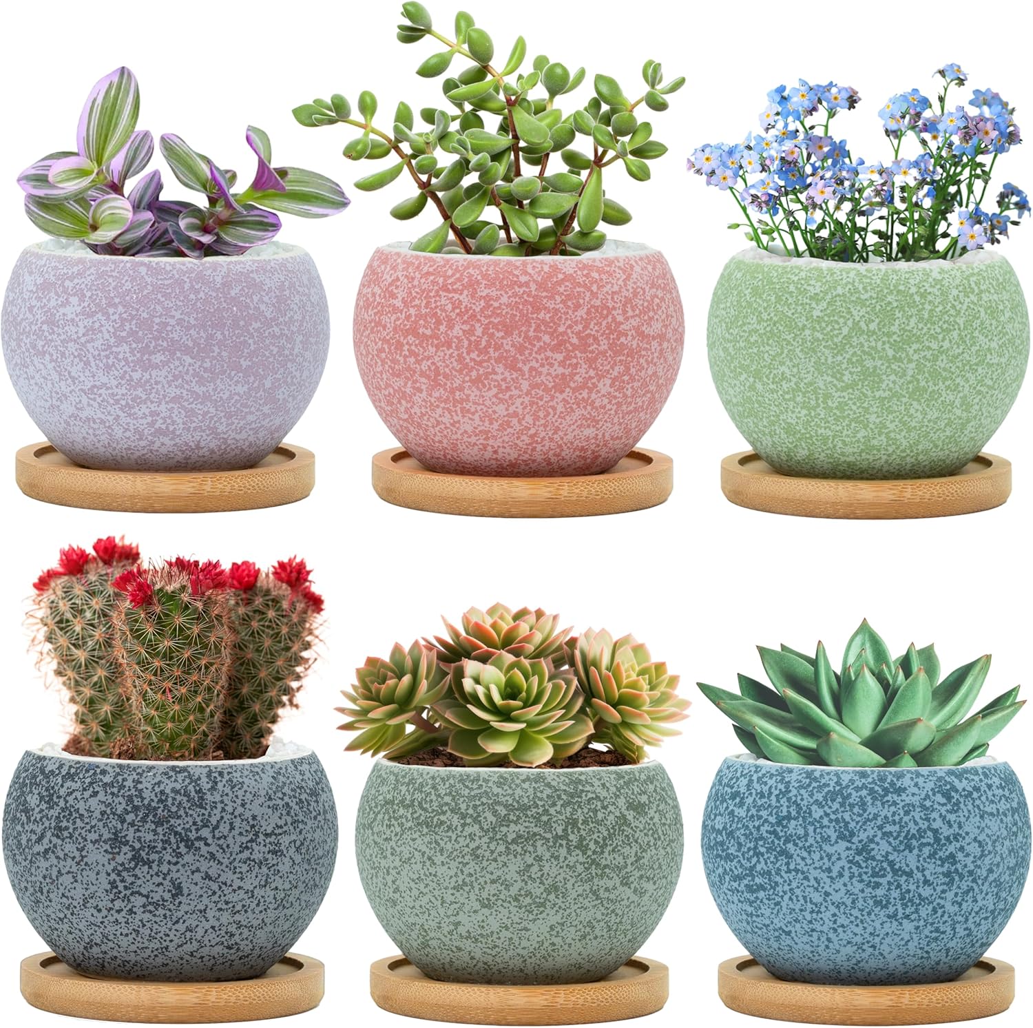 6 Pack 3 inch Ceramic Flower Pots with Drainage G105227