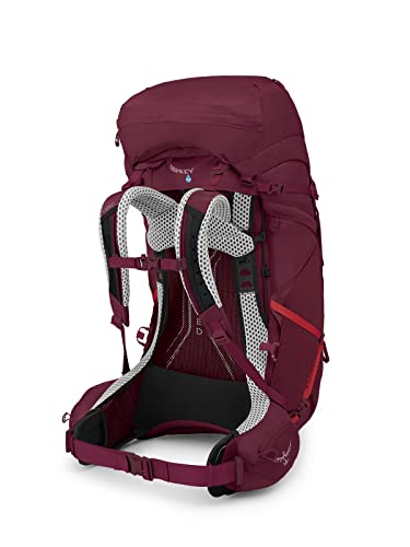 Antidote Purple 65L Women's Backpacking Backpack B60630
