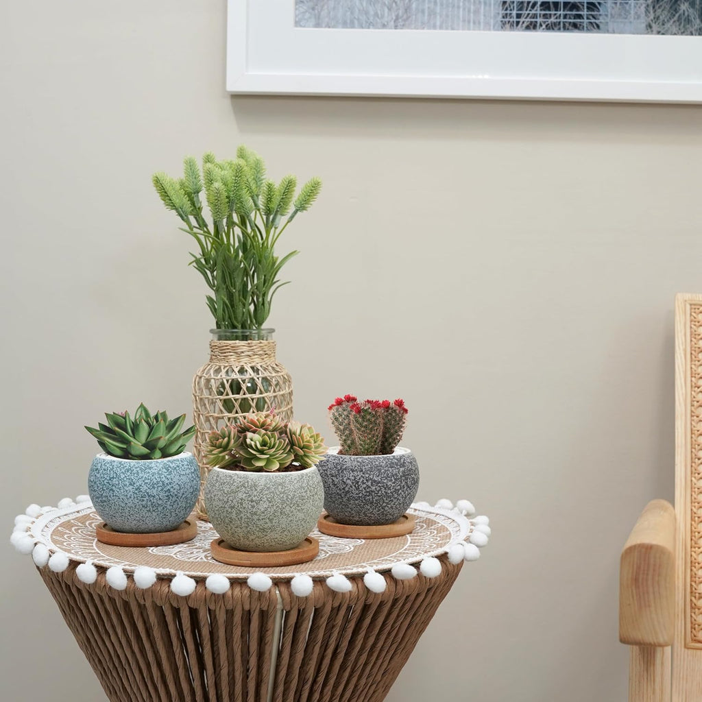 6 Pack 3 inch Ceramic Flower Pots with Drainage G105227